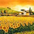Valley of Sunflowers by Richard Leblanc